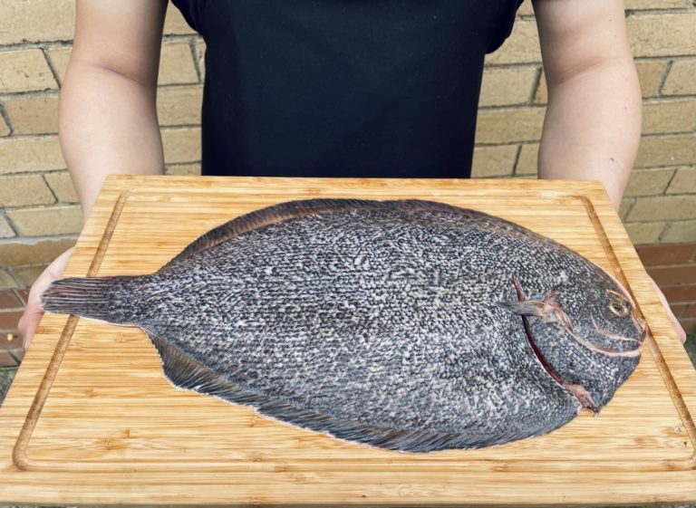 Différences entre turbot ou sole Apéritif à la française